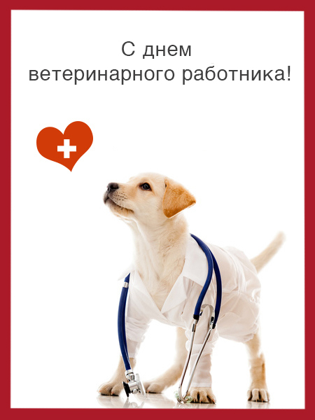 Поздравления С Днем Ветеринарного Работника
