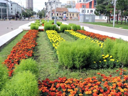В Кировской области благоустроено 138 объектов в рамках нацпроекта