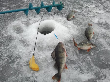 Любителям зимней рыбалки