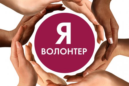 В Кировской области 447 человек пожелали стать волонтерами городской среды