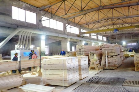 Предприятия деревообработки Кировской области готовы поставлять пиломатериалы для нужд фронта и прифронтовых территорий