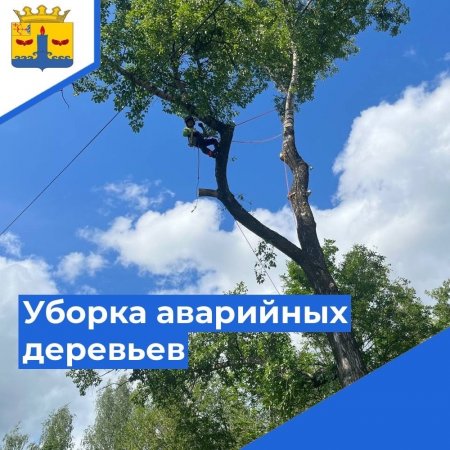 Подрядчик ИП Лысков Егор начал работы по уборке аварийных деревьев на территории пгт Свеча и кладбища с Юма.